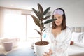 A woman holding an air purifying plants in her hand Royalty Free Stock Photo