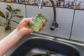 woman holding aloe pulp in her hand Royalty Free Stock Photo
