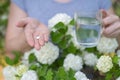 Woman holding an antihistamine tablet and a glass of water while in a blooming garden.