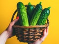 A woman holding a basket of cucumbers