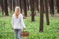 Woman holding basket with harvested wild garlic leaves in forest