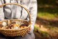 Woman holding a basket with mushrooms, porcini and chanterelles Royalty Free Stock Photo