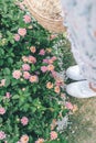 Woman holding basket ready to start picking up herbs and flowers on her garden. Royalty Free Stock Photo