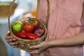 Woman holding a basket with variety of fruits and vegetables Royalty Free Stock Photo