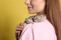 Woman holding bearded lizard on background, closeup. Exotic pet