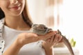 Woman holding bearded lizard indoors. Exotic pet Royalty Free Stock Photo