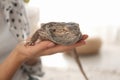 Woman holding bearded lizard indoors. Exotic pet Royalty Free Stock Photo