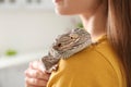 Woman holding bearded lizard indoors. Exotic pet Royalty Free Stock Photo