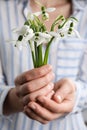 Woman holding beautiful bouquet of snowdrops, closeup Royalty Free Stock Photo