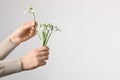 Woman holding beautiful bouquet of snowdrops on light background, closeup. Space for text Royalty Free Stock Photo