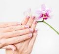 Woman holding beautiful hands near orchid flower Royalty Free Stock Photo