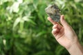 Woman holding beautiful labradorite gemstone on green background, closeup. Space for text Royalty Free Stock Photo