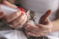 Woman feeding rescued kitten