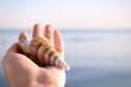 Woman holding beautiful shell on beach near sea, closeup Royalty Free Stock Photo