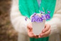 Woman holding beautiful snowdrops in a paper cup. first spring flowers in a forest. Wild flowers. spring concept Royalty Free Stock Photo