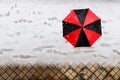 Woman holding a black and red umbrella under snow Royalty Free Stock Photo