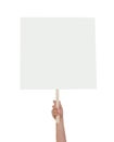 Woman holding blank protest sign on white background, closeup