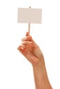 Woman Holding Blank White Sign Isolated on White Royalty Free Stock Photo