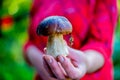 Woman holding boletus edulis mushroom in her hand Royalty Free Stock Photo