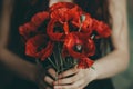 Woman holding a bouquet of red poppy flowers. Generative AI. Royalty Free Stock Photo
