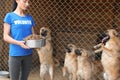 Woman holding bowl of food near cage with homeless dogs in animal shelter Royalty Free Stock Photo