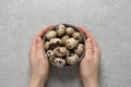 Woman holding bowl of quail eggs at light grey table, top view Royalty Free Stock Photo