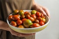 Woman holding bowl with ripe tomatoes Royalty Free Stock Photo