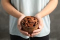 Woman holding bowl with shelled pecan nuts Royalty Free Stock Photo