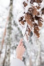 Woman holding branch with leaves covered with snow in forest