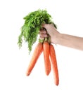 Woman holding bunch of fresh ripe carrots on background, closeup Royalty Free Stock Photo