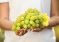 Woman holding bunch of fresh ripe juicy grape Royalty Free Stock Photo