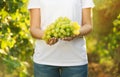 Woman holding bunch of fresh ripe juicy grapes in vineyard Royalty Free Stock Photo
