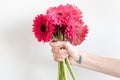 Woman holding bunch of gerberas (cropped)