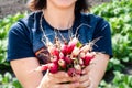 Woman holding bunch of radishes