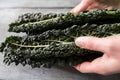 Close Up Of Woman Holding Cavolo Nero Leaves