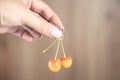 Woman holding cherries Royalty Free Stock Photo