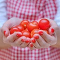A woman is holding cherry tomatoes. Hands of a girl in a kitchen plaid apron with ripe red vegetables Royalty Free Stock Photo