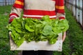 Woman holding container full of green salad