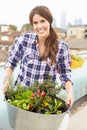 Woman Holding Container Of Plants On Rooftop Garden Royalty Free Stock Photo