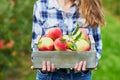 Woman holding crate with ripe red apples on farm Royalty Free Stock Photo