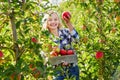 Woman holding crate with ripe red apples on farm