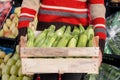 Woman holding crate of zucchini at the market Royalty Free Stock Photo