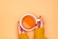 Woman holding cup with hot tea Royalty Free Stock Photo
