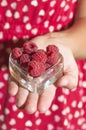 Woman holding a cup of raspberries Royalty Free Stock Photo
