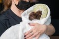 Woman holding cute doggie poodle and lapdog mix wrapped in white towel after washing in grooming salon.