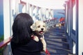 Woman holding cutely white short hair Shih tzu dog