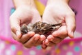 Woman holding a dead bird