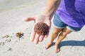 Woman Holding a Dead Sea Urchin