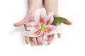 Woman holding delicate pink lily