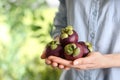 Woman holding delicious ripe mangosteen fruits outdoors, closeup. Space for text